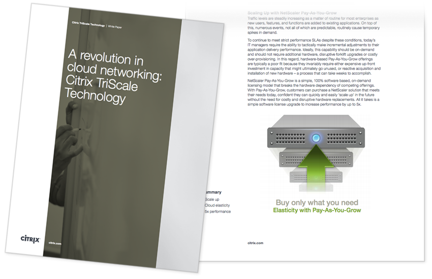 A Revolution in Cloud Networking: Citrix TriScale Technology ...